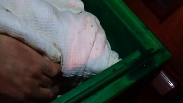 Месячное потребление корма в Омшанике смотреть онлайн