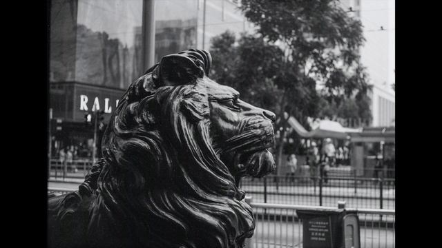 (FREE) "MUFASA" Turkish Majestic String Violin Rap Drum Type Beat (prod. kekkind) смотреть онлайн