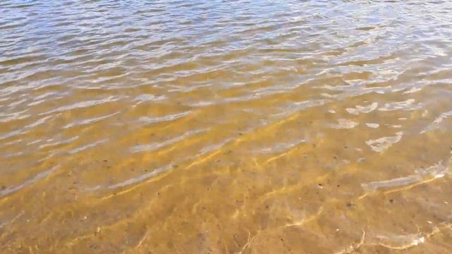 отдых на Оке 2018 смотреть онлайн