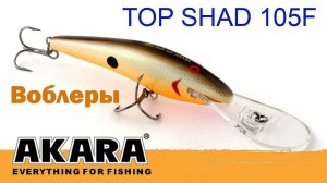 Обзор воблера Akara Top Shad 105F