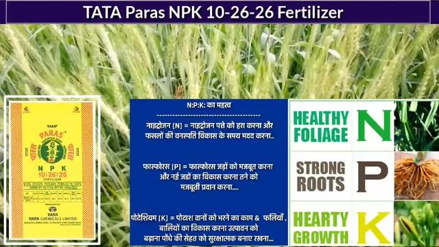 NPK 10-26-26 | Fertilizer | NPK | KHAD | смотреть онлайн