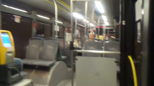 🎄БЕСПЛАТНАЯ ЕЛКА В ПОЛЬШЕ? ТАКОЕ ВОЗМОЖНО?🎄 смотреть онлайн