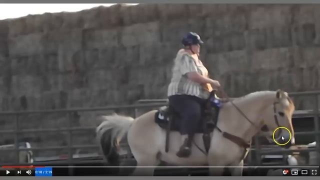 Discussing Large Horse Riders - Clues That A Horse Is Not Comfortable смотреть онлайн