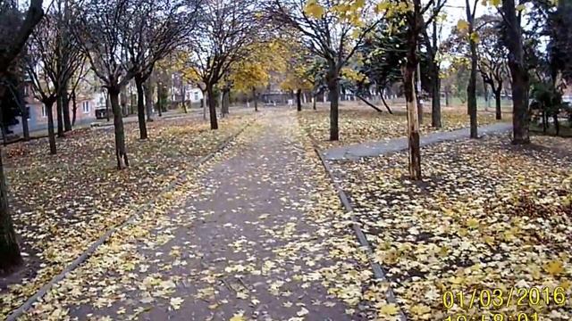 Пример съемки экшн камеры Sigma Mobil X - Spoort C10