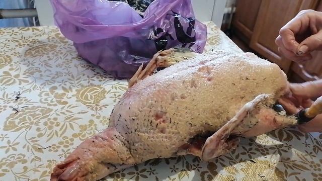 ОХ, УЖ ЭТИ УТИНЫЕ ПЕНЬКИ. смотреть онлайн