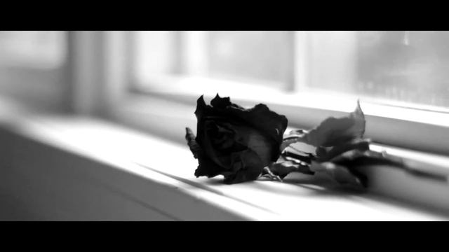 "Don't let Go" (Very sad piano beat) by Michael Ortega смотреть онлайн