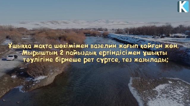 ҰШЫҚТЫ ҚАЛАЙ ЕМДЕЙДІ смотреть онлайн