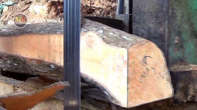 Kayu terkeras didunia,dahsyat mesin bandsaw berasap tebal saat belah kayu ini di sawmill.woodworkin смотреть онлайн