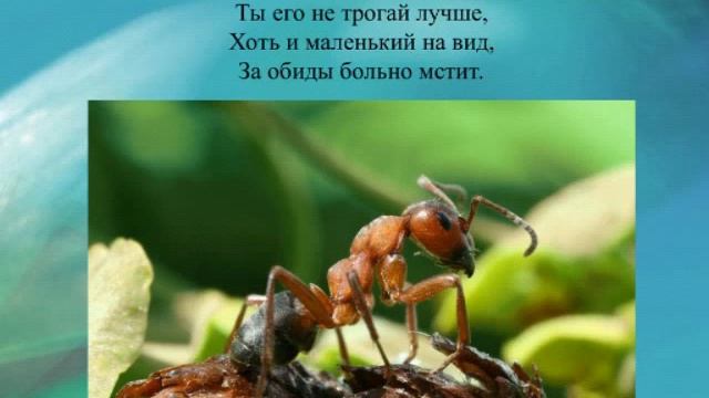 Рекомендации о правилах безопасного поведения для детей в стихах Скоро лето смотреть онлайн