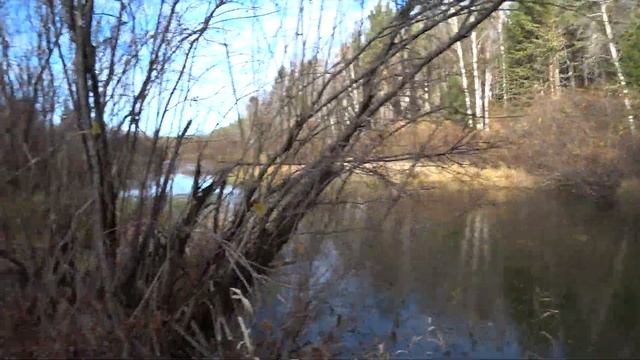 Великолепное утро на рыбалке. (Река рыбная 09.10.17) смотреть онлайн