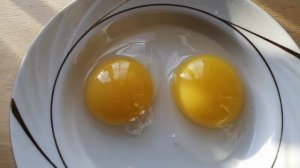 Проверяем яйца на оплод без инкубации/Овоскопируем утиное яйцо