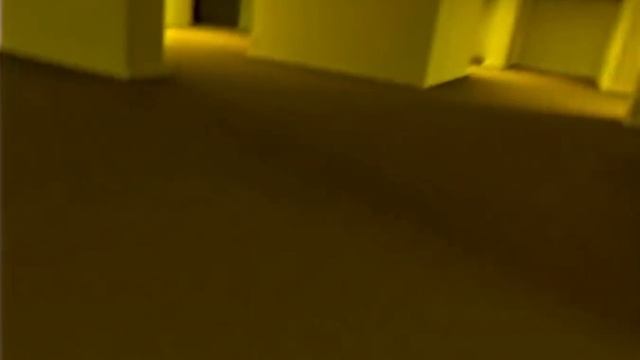 Gigachad finds you in the backrooms (Found Footage) смотреть онлайн