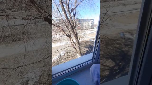 Салфетка для стекла UJUT AQUA magic от компании GreenWay смотреть онлайн