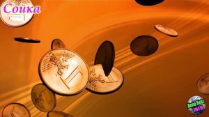 Вот к чему птица садится на окно! К чему птица бьется в окно?! Приметы и Суеверия!