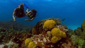 Правда ли, что в Германии пукают за столом?