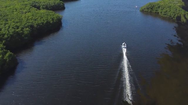 Stalker 136C In Action! смотреть онлайн