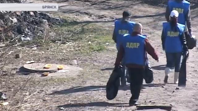 ЛДПР за чистые дворы