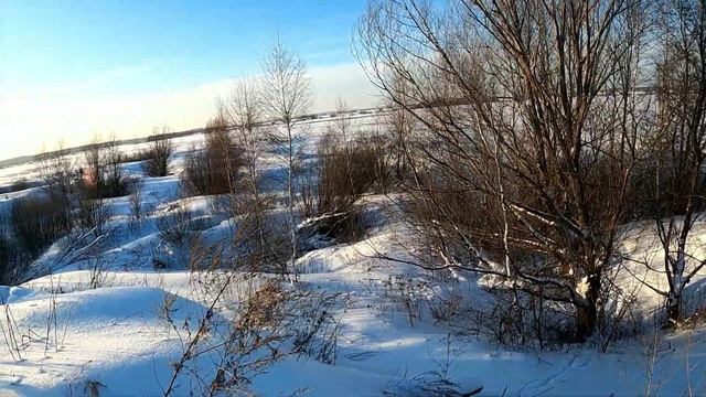 Куропатки из ночлега, вылетают из-под снега смотреть онлайн