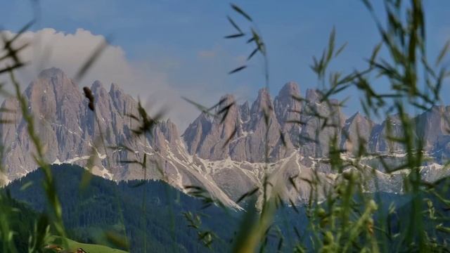 Arthur Distone-Waiting.mp4