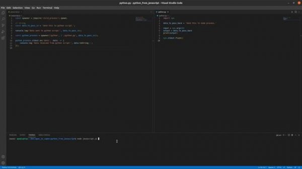 How to Call a Python Script From JavaScript (AND PASS DATA BETWEEN)