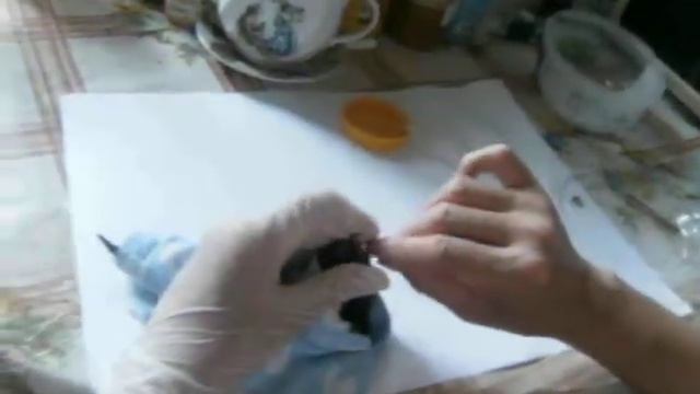 СТРИЖ ГЛОТАЕТ ТАРАКАНА смотреть онлайн