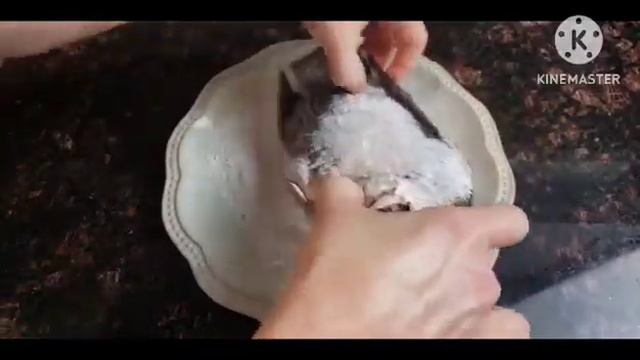 Живая Кухня