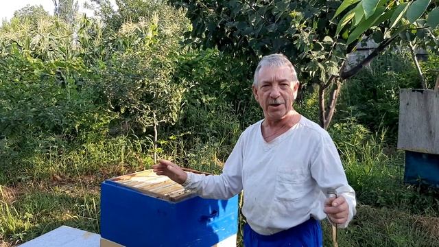 ПАСЕКА.ПЧЕЛОВОДСТВО. Осмотр и откачка мёда с двухкорпусного улья. смотреть онлайн