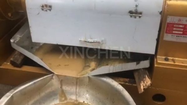 YZYX140CJGX винтовой пресс Производство и переработка растительного масла