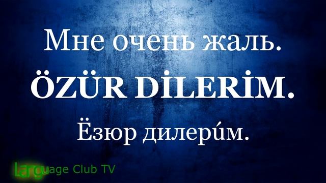Турецкий Язык: Основные выражения | Урок #2 смотреть онлайн