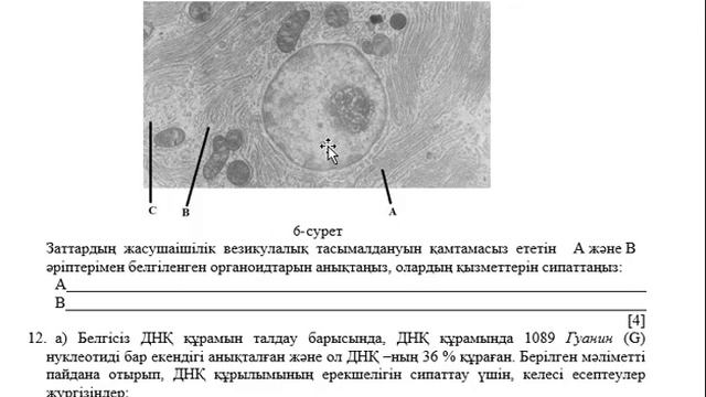 10 сынып Биология ТЖБ 1-тоқсан ЖМБ