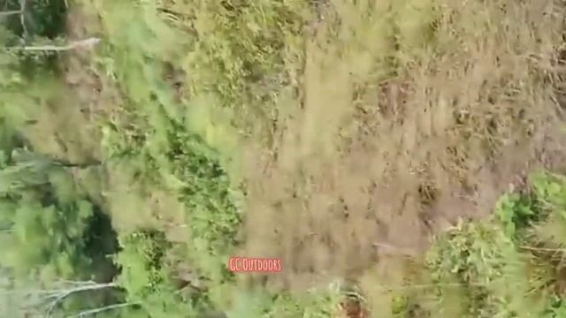 Suzuki Escudo Vitara Jimny In Action 6 || Ves Community || Ves Champter Aceh || Ves Gayoe Lues смотреть онлайн