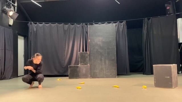 РГИСИ. Мастерская н.а. РФ С.Я. Спивака. Зимний зачёт. Урок 2: Наблюдения за животными. 29.12.2020 смотреть онлайн