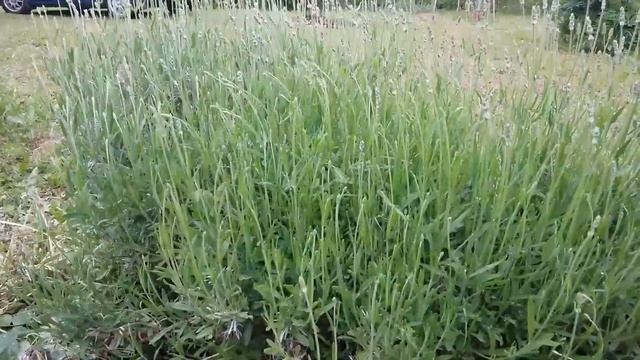 Иллюстрации и Комиксы