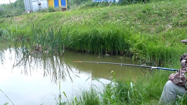 Карась на моём пруду 2 смотреть онлайн