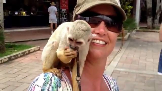 Terri With Monkey смотреть онлайн