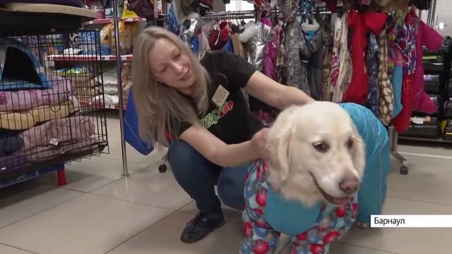 В Барнауле появился магазин нового формата ZooМир «Клёвый» смотреть онлайн