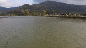 Наконец то форель. Рыбалка на Форелевом хозяйстве в Адлере.