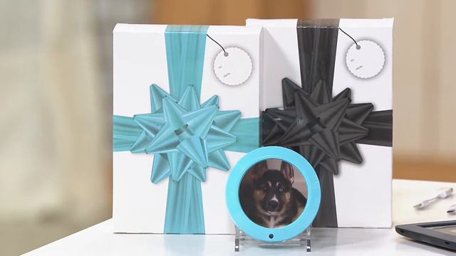 ChargeHub S/2 3 USB Port Charging Stations with Gift Boxes on QVC смотреть онлайн