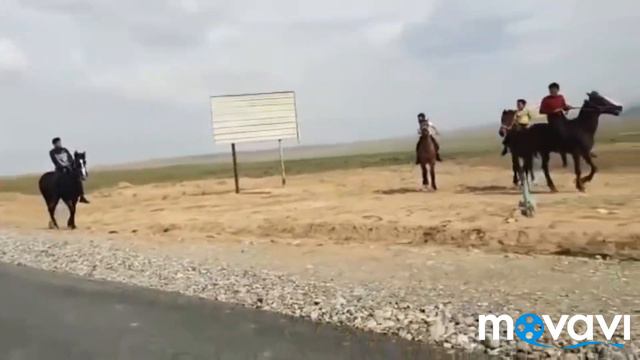 Отлар кизикедигонлар учун смотреть онлайн