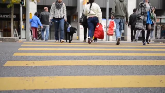 PRO PLAN - Episode 3 : La formation de chien-guide смотреть онлайн