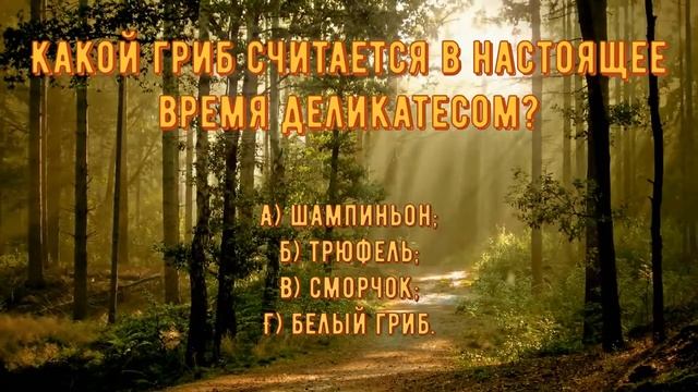 викторина грибы