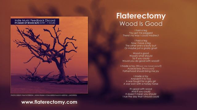 Flaterectomy - Wood Is Good смотреть онлайн
