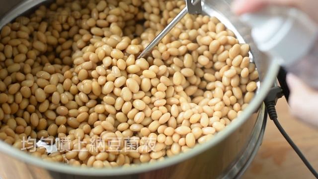 自製納豆❗️沒你想像中的難? How to Make Natto at Home (The Complete Guide) смотреть онлайн