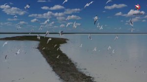 Даурский заповедник