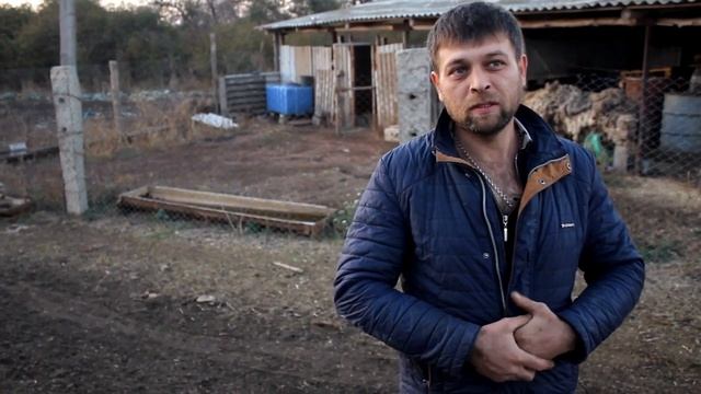 Содержание ОВЕЦ // Выгодно Или Нет??? // Какую Породу Овец Выбрать? смотреть онлайн