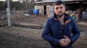 Содержание ОВЕЦ // Выгодно Или Нет??? // Какую Породу Овец Выбрать?