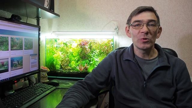 Калий в растительном аквариуме смотреть онлайн