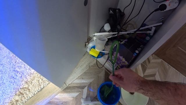 Морской еж | Апогон | Синелапый рак отшельник смотреть онлайн