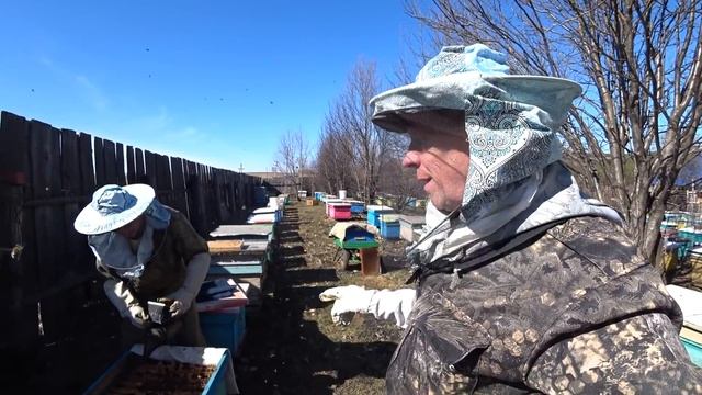 РАСШИРЕНИЕ СИЛЬНЫХ ПЧЕЛОСЕМЕЙ ВОЩИНОЙ И СУШЬЮ НА ЦВЕТЕНИЕ ВЕРБЫ смотреть онлайн