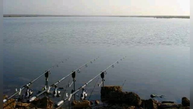 ЛОВЛЯ СОМА С БЕРЕГА / В ИЮНЕ / ГДЕ НАИТЬ ЯМУ САМА ^"2020÷ смотреть онлайн